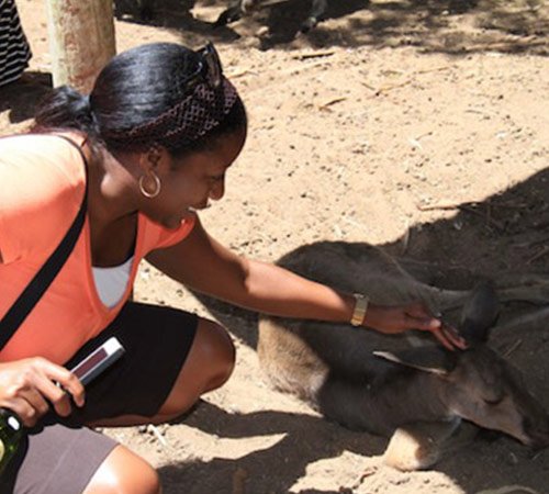 woman petting animal